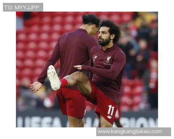 模仿美国足球明星的技巧与训练方法探讨